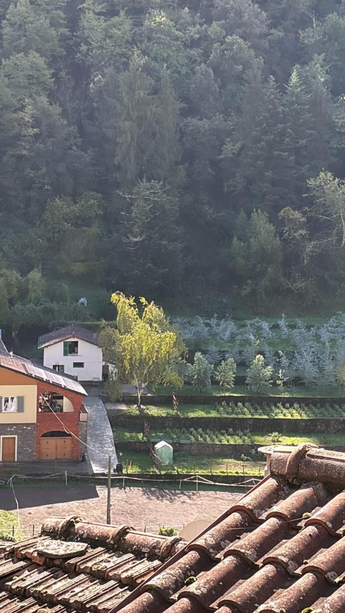 Iconic Italian Townhouse W Rooftop Terrace & Mountain View, Pigna Luaran gambar