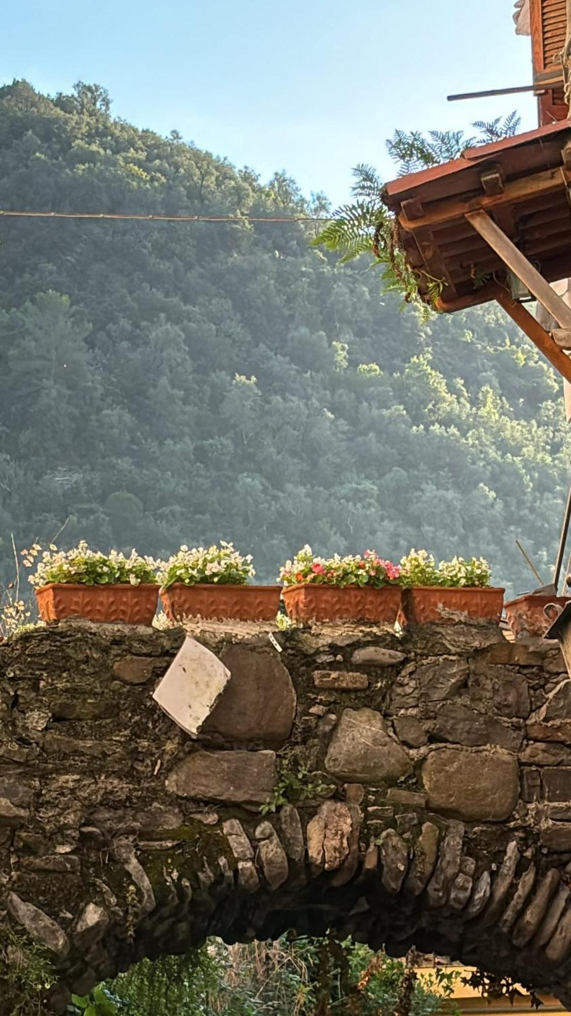 Iconic Italian Townhouse W Rooftop Terrace & Mountain View, Pigna Luaran gambar